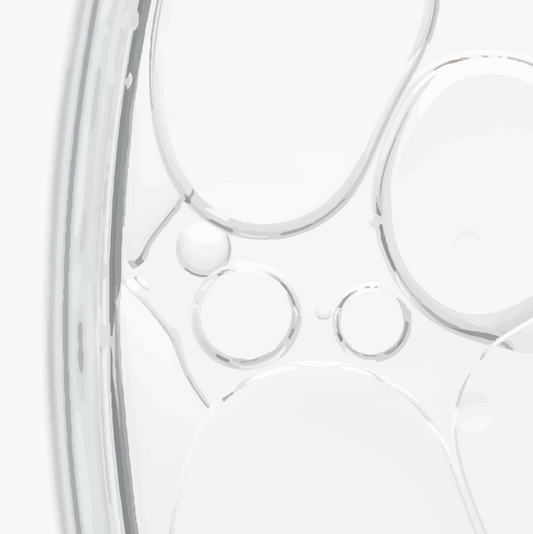 December 8TH - ORLANDO- THE MASTERCLASS SAFE PEELS, REAL RESULTS PEELXPLUS